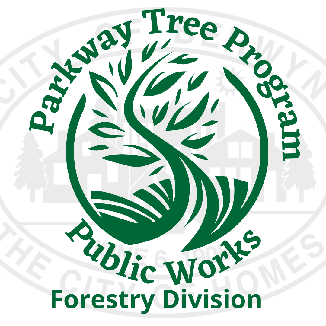 Parkway Tree Program Thumbnail