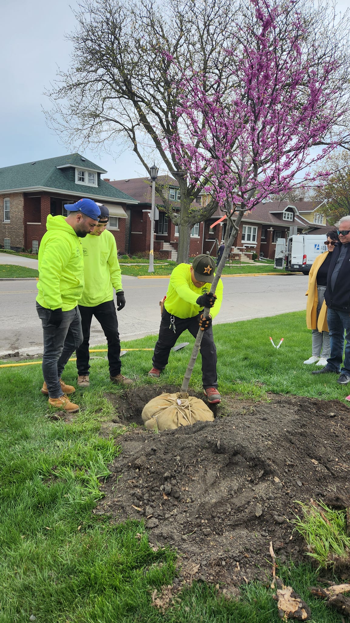 Arbor Day 